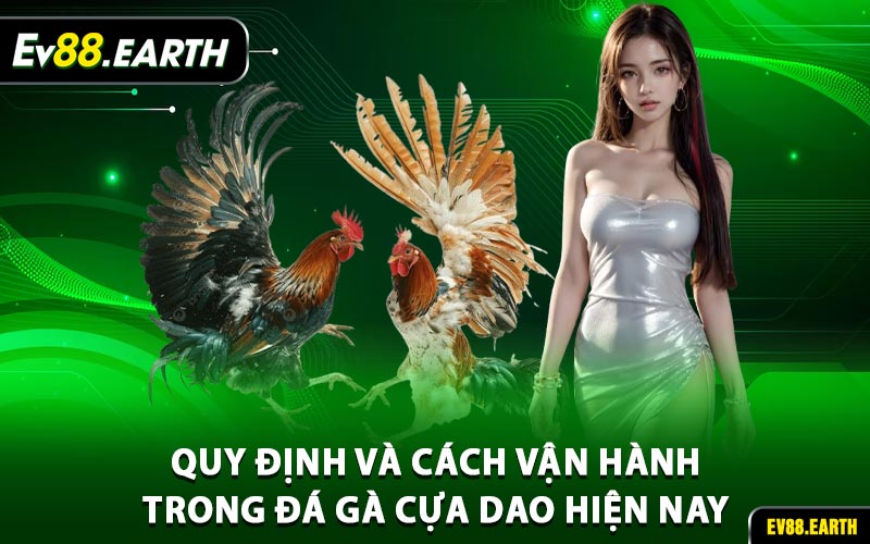 Quy định và cách vận hành trong đá gà cựa dao hiện nay